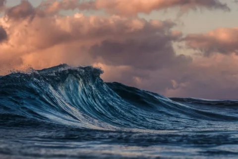 Conditions en mer : houle 1,5 m côte sous-le-vent, vent 15 nœuds