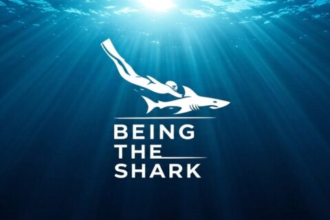 Participer au questionnaire de « Being The Shark »